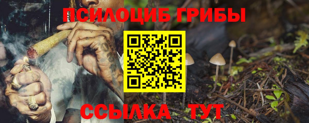 Воскресенск  Галлюциногенные грибы MAGIC MUSHROOMS  Вход с VPN 